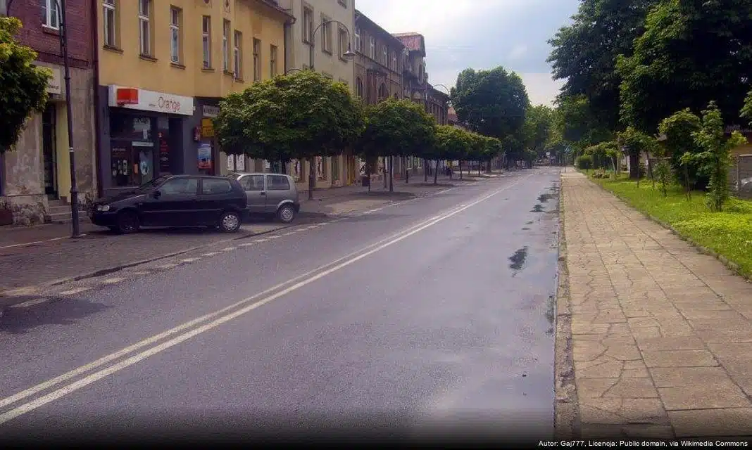 Zakończenie prac nad Miejskim Planem Adaptacji do zmian klimatu w Czechowicach-Dziedzicach